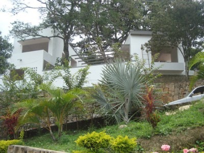 http://www.seroarchitects.com/files/gimgs/th-32_DSC08118.jpg