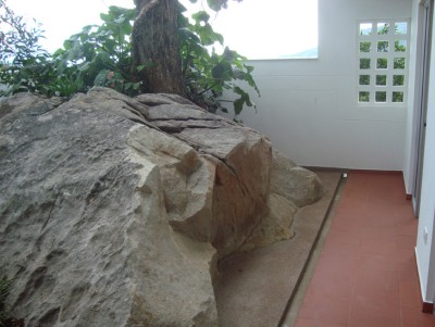 http://www.seroarchitects.com/files/gimgs/th-32_DSC08178.jpg