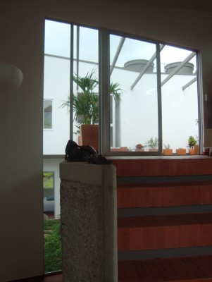 http://www.seroarchitects.com/files/gimgs/th-32_DSC08197.jpg