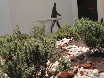 http://www.seroarchitects.com/files/gimgs/th-7_DSC00985.jpg